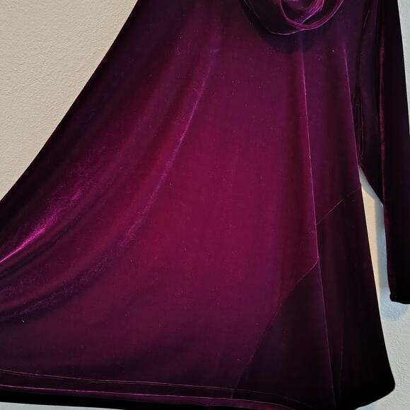 Soft Surroundings Women Plus Size 3x Velvet Cowl Neck Asymmetrical Hem Tunic Top - Picture 9 of 10